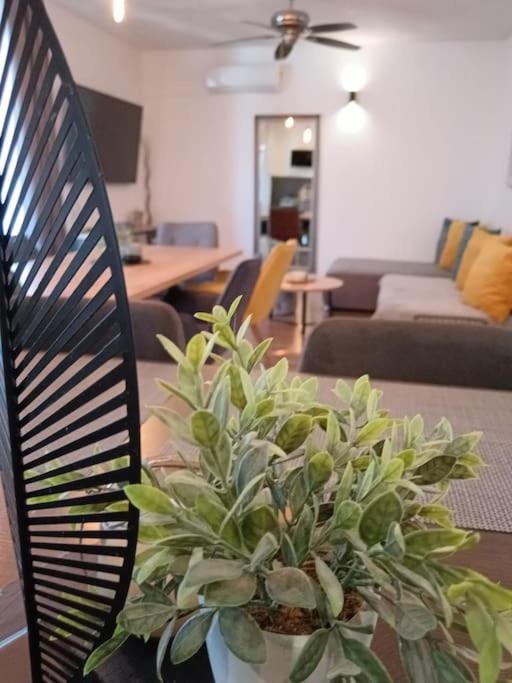 Apartma Holiday&suite Klanac *
